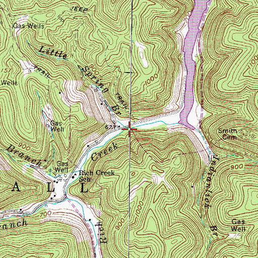 Topographic Map of Little Spring Branch, WV