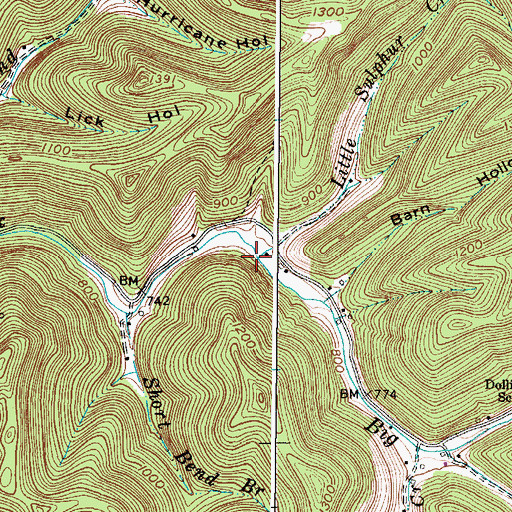 Topographic Map of Little Sulphur Creek, WV