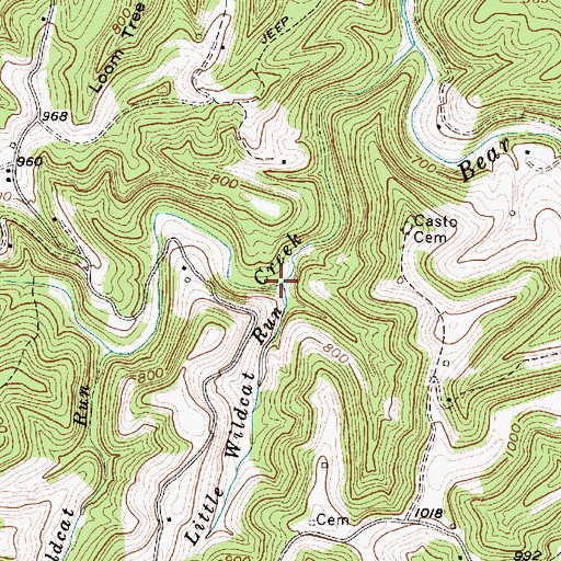 Topographic Map of Little Wildcat Run, WV