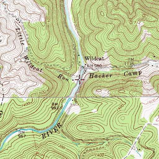 Topographic Map of Little Wildcat Run, WV