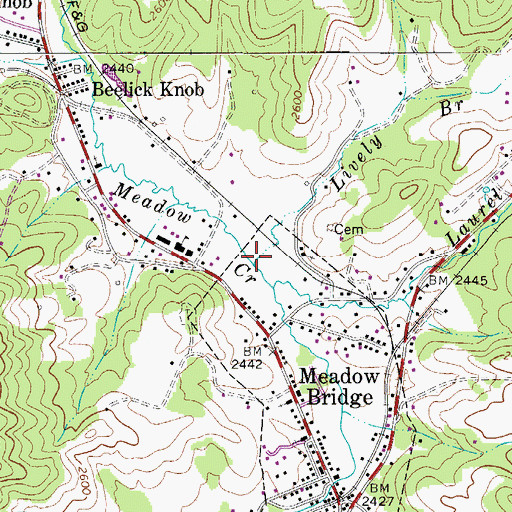 Topographic Map of Lively Branch, WV
