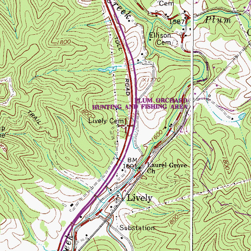 Topographic Map of Lively Cemetery, WV