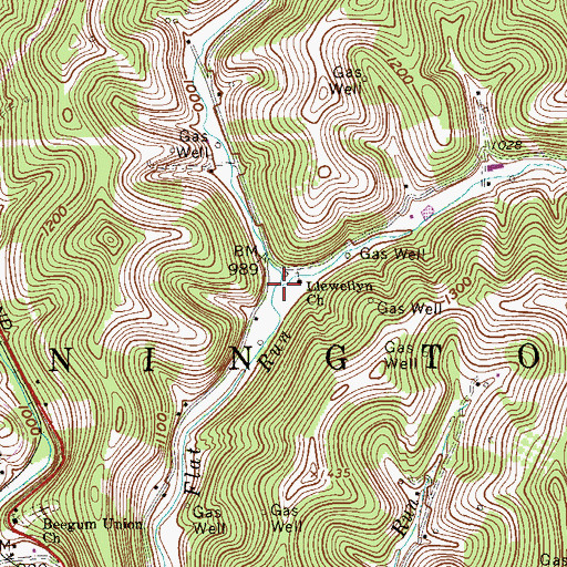 Topographic Map of Llewellyn Run, WV