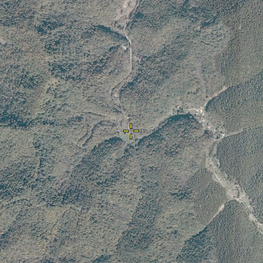 Aerial/Satellite Image of Log Branch, WV