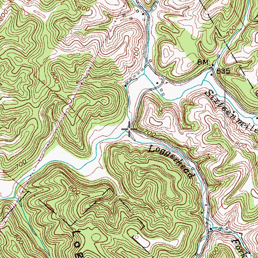 Topographic Map of Loggerhead Fork, WV