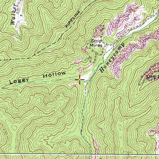 Topographic Map of Loggy Hollow, WV
