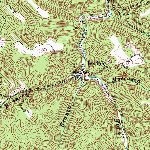 Topographic Map of Long Branch, WV