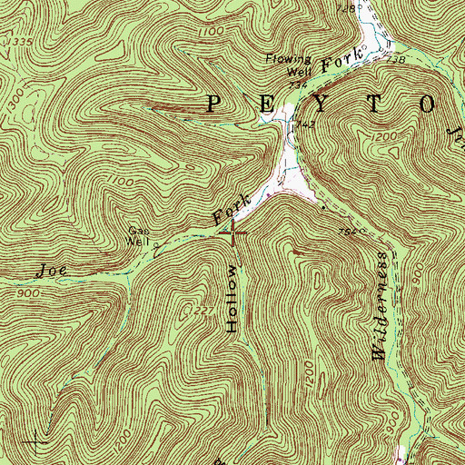 Topographic Map of Long Hollow, WV
