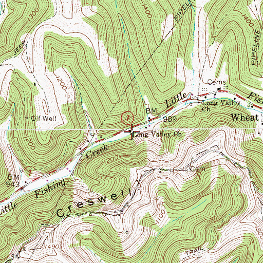 Topographic Map of Long Valley Church, WV