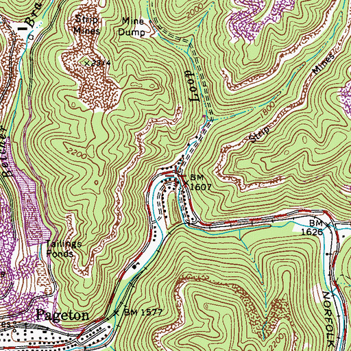 Topographic Map of Loop Branch, WV