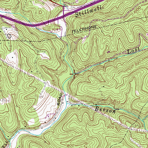 Topographic Map of Lost Run, WV