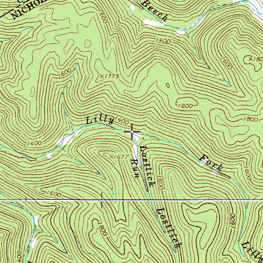 Topographic Map of Lostlick Run, WV