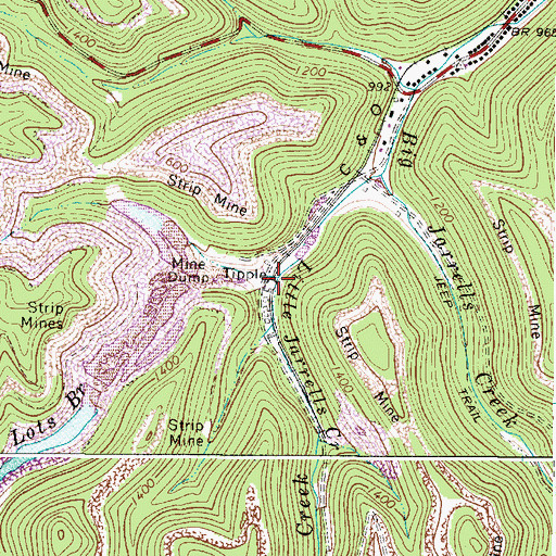 Topographic Map of Lots Branch, WV