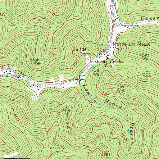 Topographic Map of Lower Honey Branch, WV
