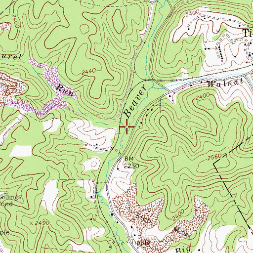 Topographic Map of Lower Laurel Run, WV