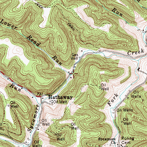 Topographic Map of Lower Road Run, WV