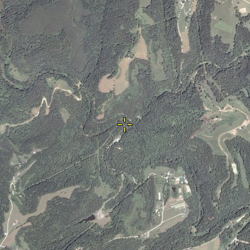 Aerial/Satellite Image of Lower Run, WV