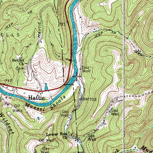 Topographic Map of Lower Run, WV