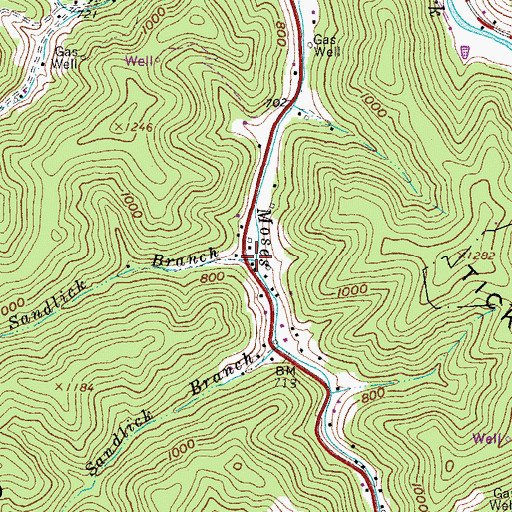 Topographic Map of Lower Sandlick Branch, WV