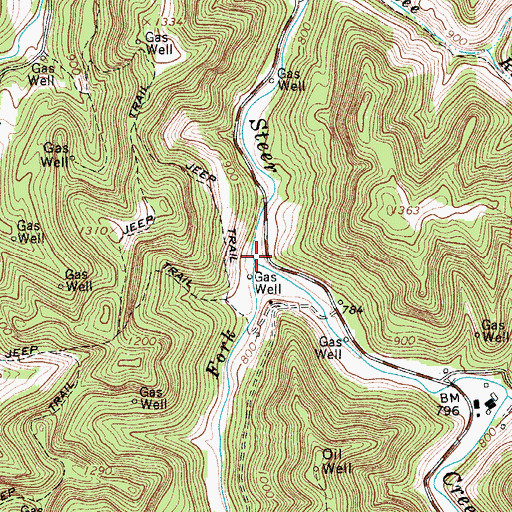 Topographic Map of Lower Sleith Fork, WV