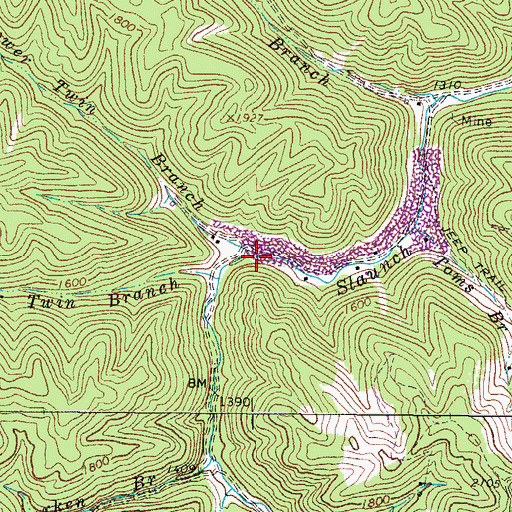 Topographic Map of Lower Twin Branch, WV