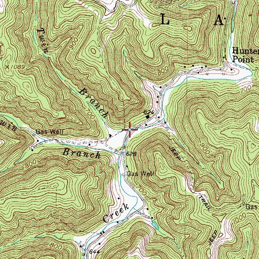 Topographic Map of Lower Twin Branch, WV