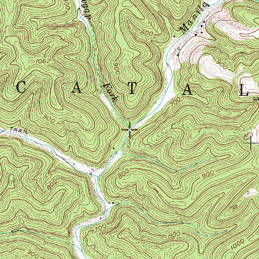 Topographic Map of Lowgap Fork, WV