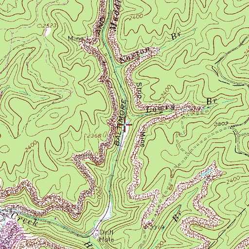 Topographic Map of Lowry Branch, WV
