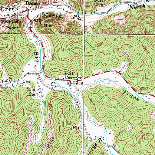 Topographic Map of Lucas Cemetery, WV