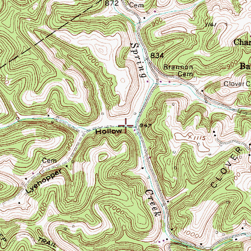 Topographic Map of Lyehopper Hollow, WV
