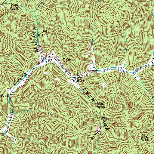 Topographic Map of Lynn Fork, WV