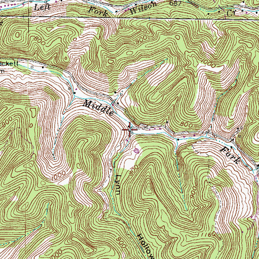 Topographic Map of Lynn Hollow, WV