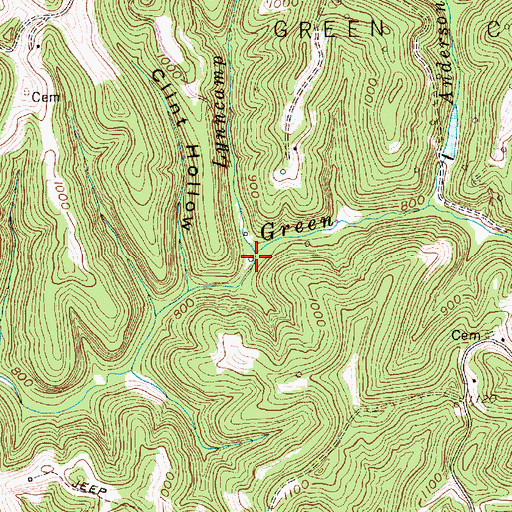 Topographic Map of Lynncamp Run, WV