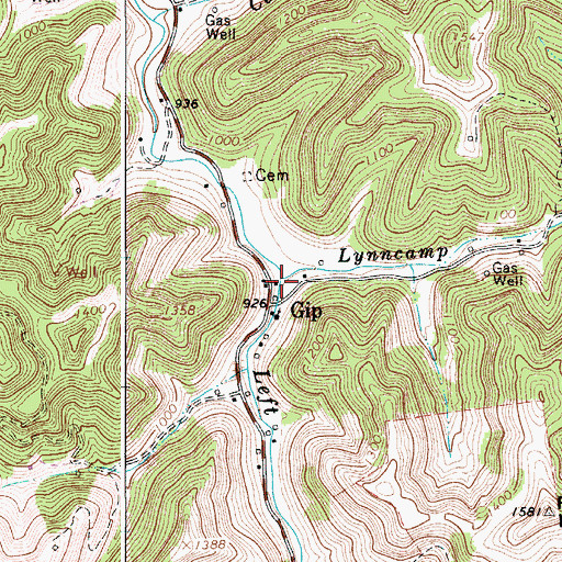Topographic Map of Lynncamp Run, WV