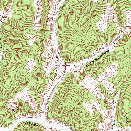 Topographic Map of Lynncamp Run, WV