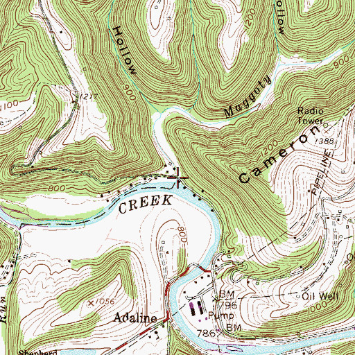 Topographic Map of Maggoty Run, WV