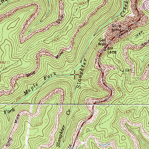 Topographic Map of Maple Fork, WV