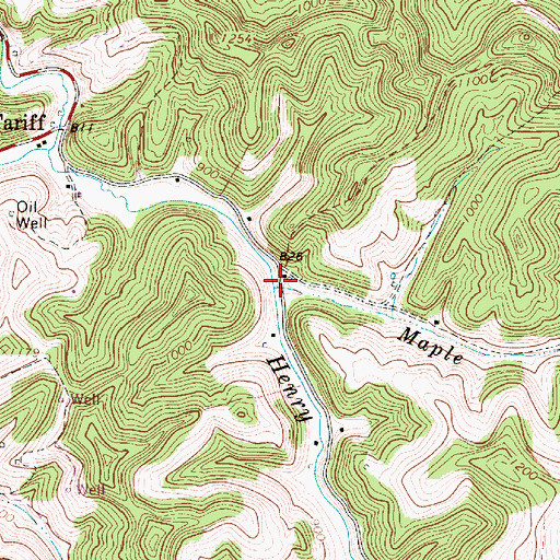 Topographic Map of Maple Run, WV