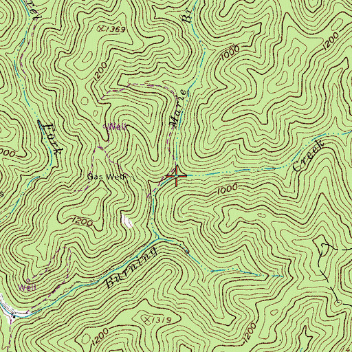Topographic Map of Marie Branch, WV