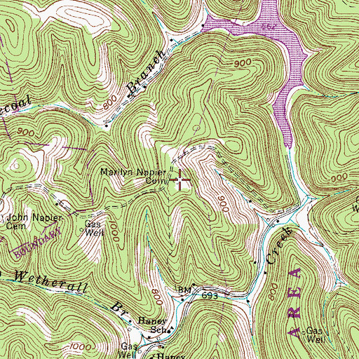 Topographic Map of Marilyn Napier Cemetery, WV