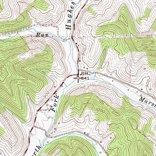 Topographic Map of Marsh Run, WV