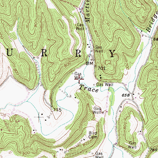Topographic Map of Martin Run, WV