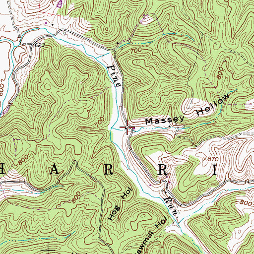 Topographic Map of Massey Hollow, WV