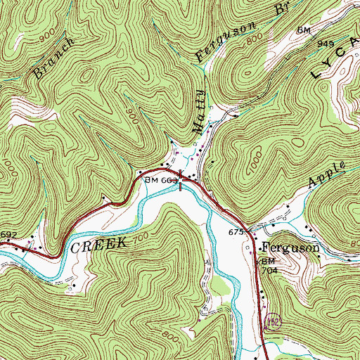 Topographic Map of Matty Ferguson Branch, WV