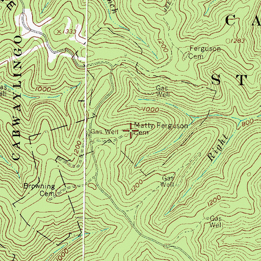 Topographic Map of Matty Ferguson Cemetery, WV