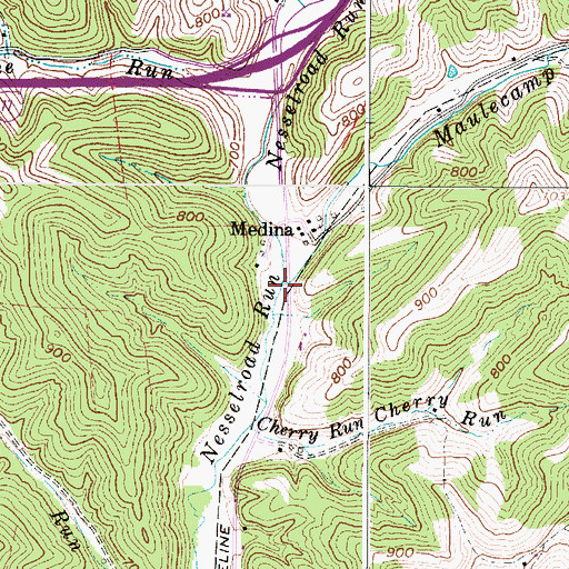 Topographic Map of Maulecamp Run, WV