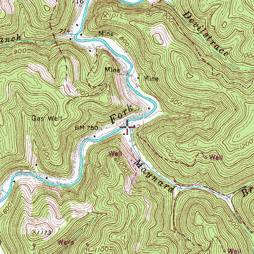 Topographic Map of Maynard Branch, WV