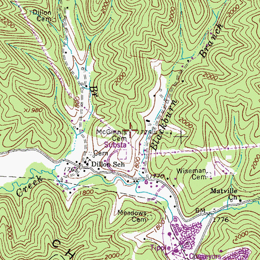 Topographic Map of McGinnis Cemetery, WV