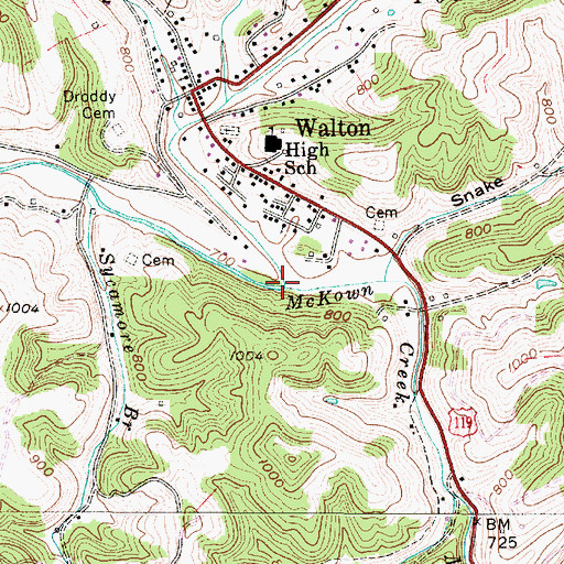 Topographic Map of McKown Creek, WV