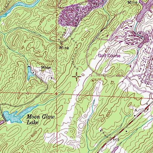 Topographic Map of Woodford, AL
